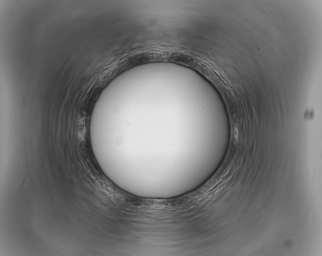 X0000096381204200801240955