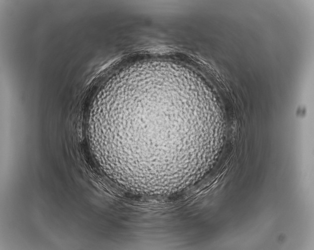 X0000096381205200801240955