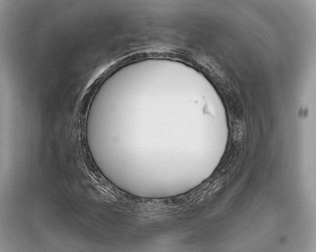 X0000096381208200801240955