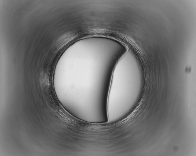 X0000096381209200801240955