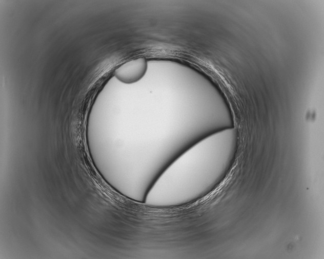 X0000096381211200801240955