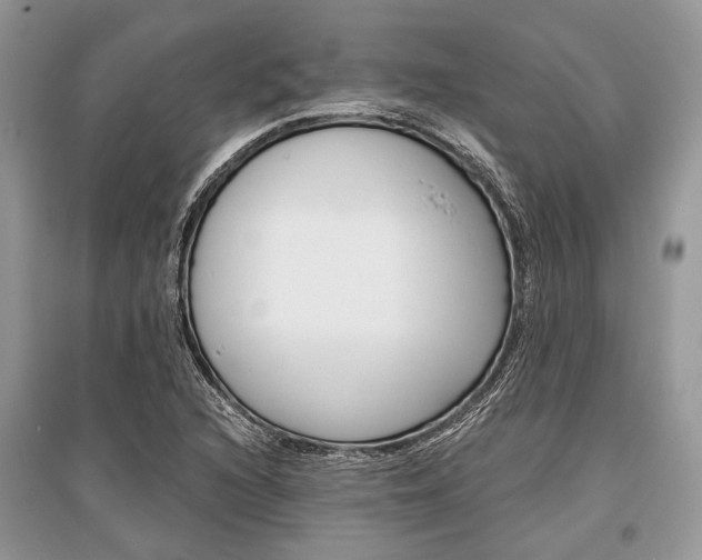 X0000096381216200801240955