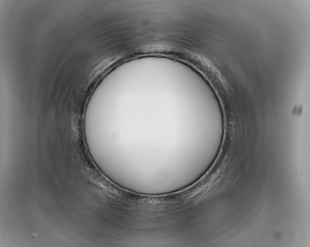 X0000096381217200801240955