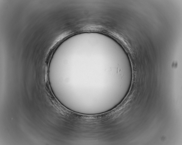 X0000096381219200801240955