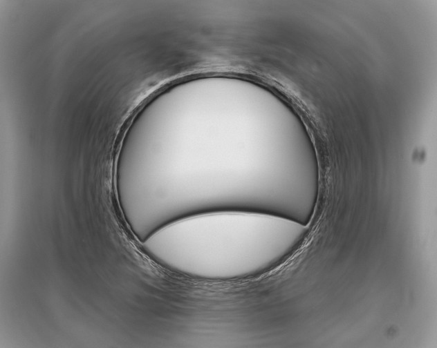 X0000096381220200801240955