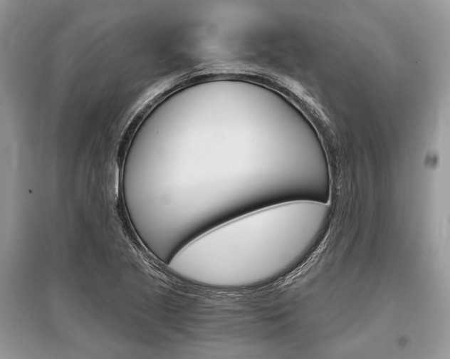X0000096381221200801240955