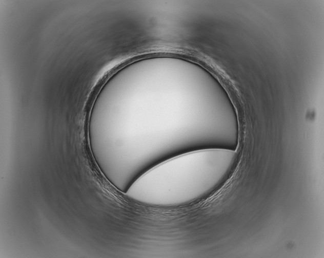X0000096381222200801240955