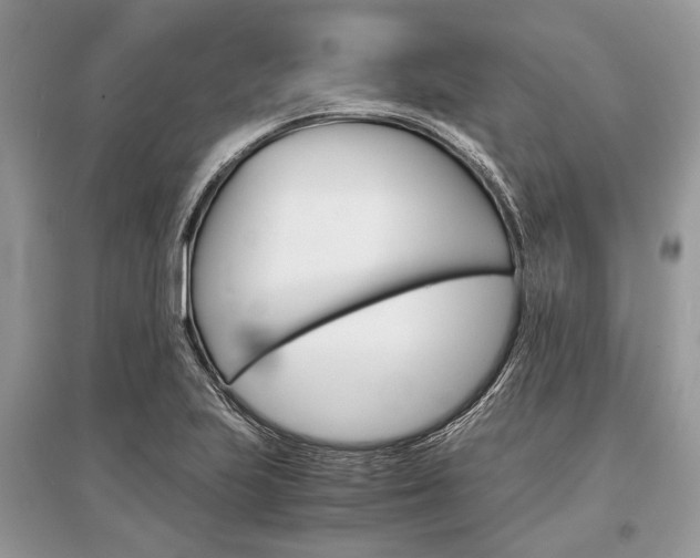 X0000096381223200801240955