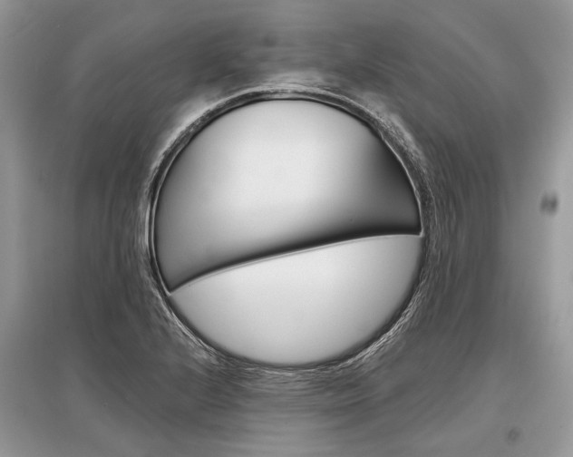 X0000096381224200801240955