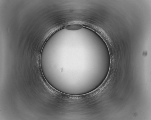 X0000096381225200801240955