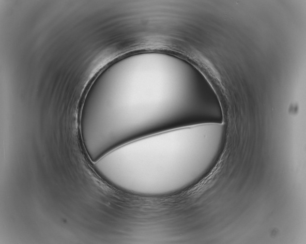 X0000096381226200801240955
