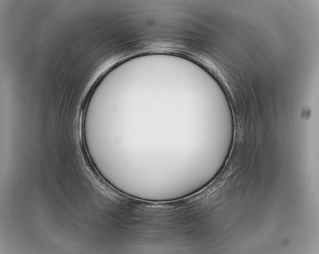 X0000096381227200801240955