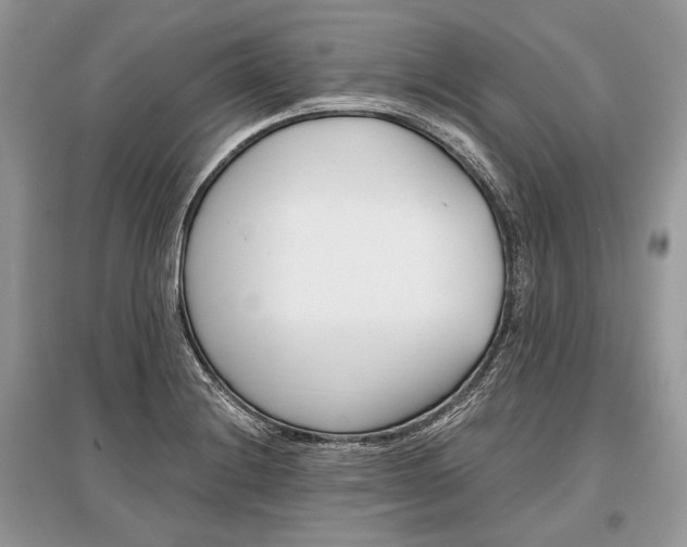 X0000096381228200801240955