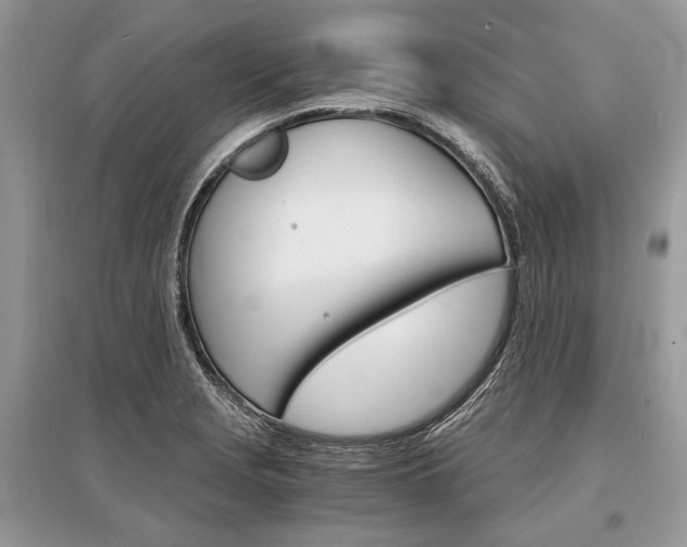 X0000096381229200801240955