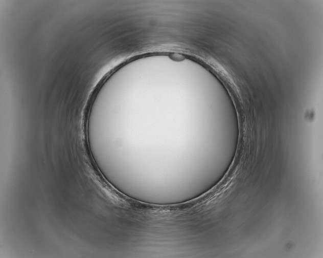 X0000096381230200801240955