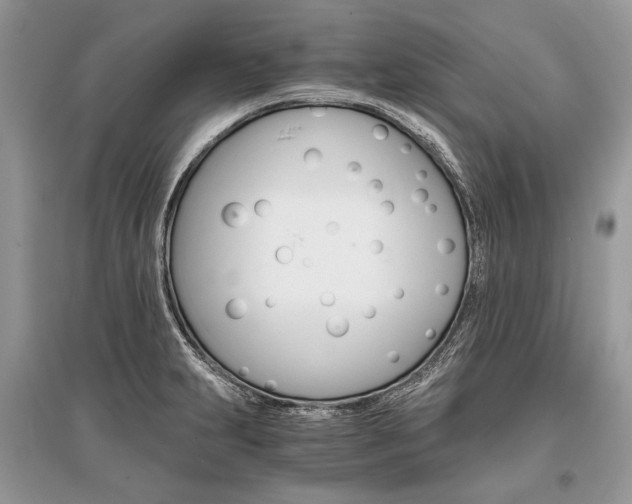 X0000096381231200801240955
