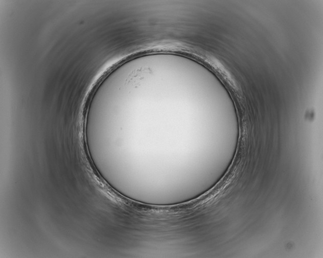 X0000096381232200801240955