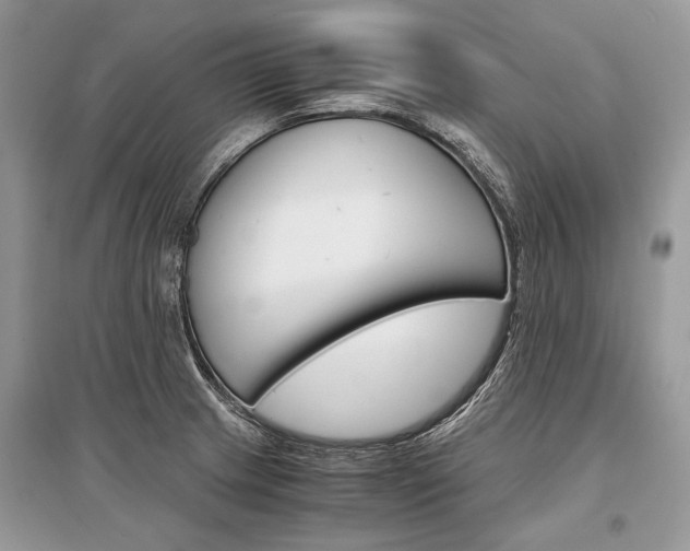 X0000096381233200801240955