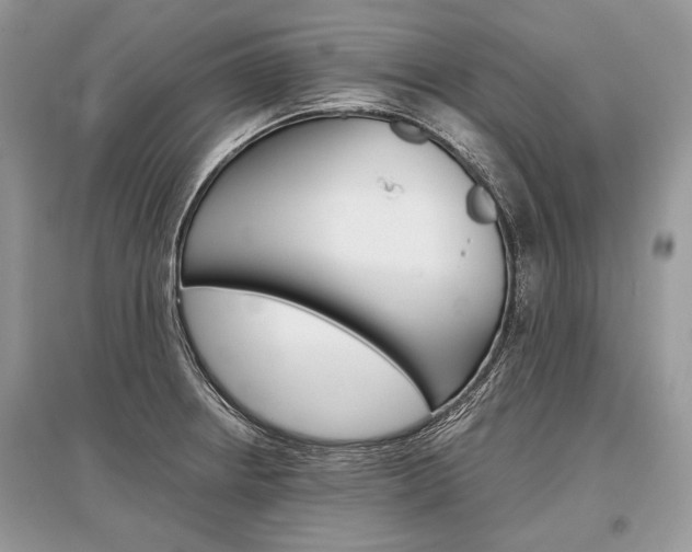 X0000096381234200801240955