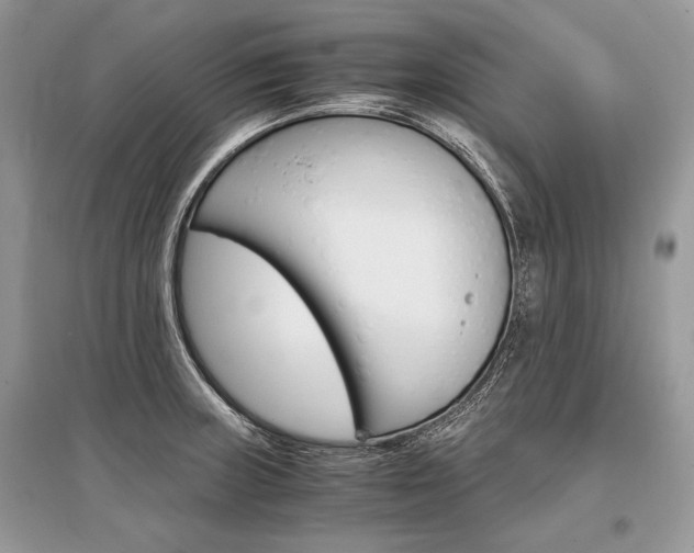 X0000096381235200801240955