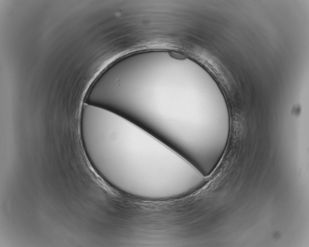 X0000096381236200801240955