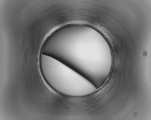 X0000096381237200801240955