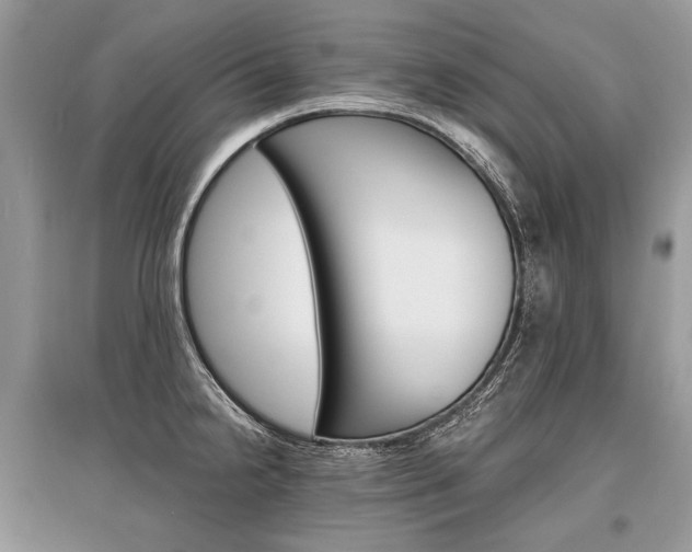 X0000096381238200801240955
