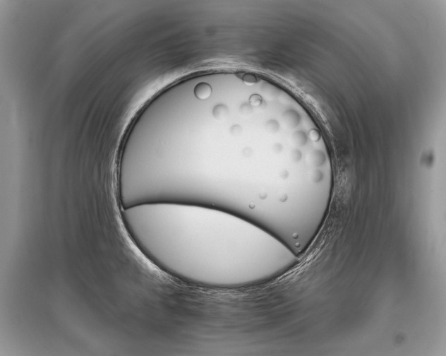 X0000096381239200801240955