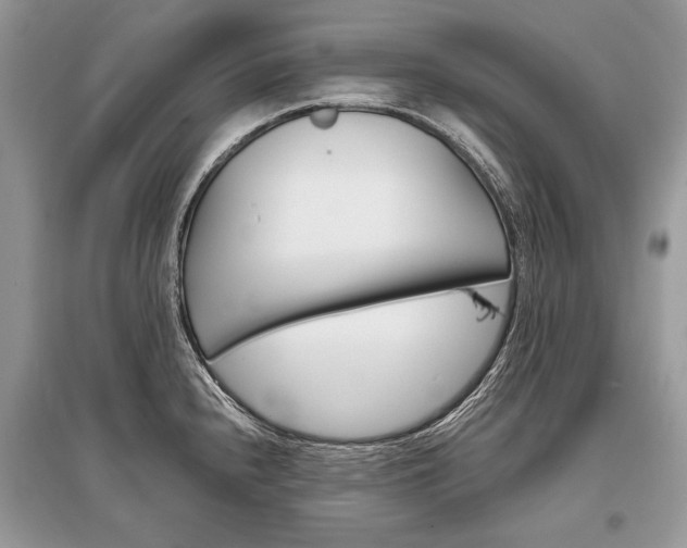 X0000096381240200801240955