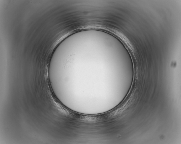 X0000096381241200801240955