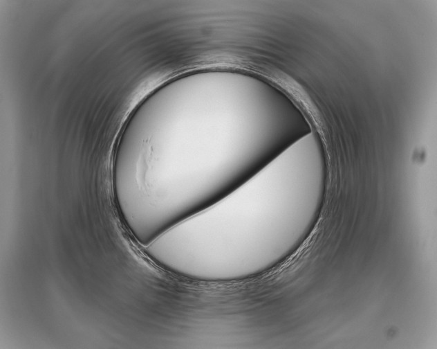 X0000096381242200801240955