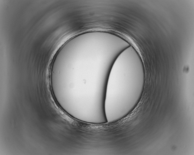 X0000096381243200801240955