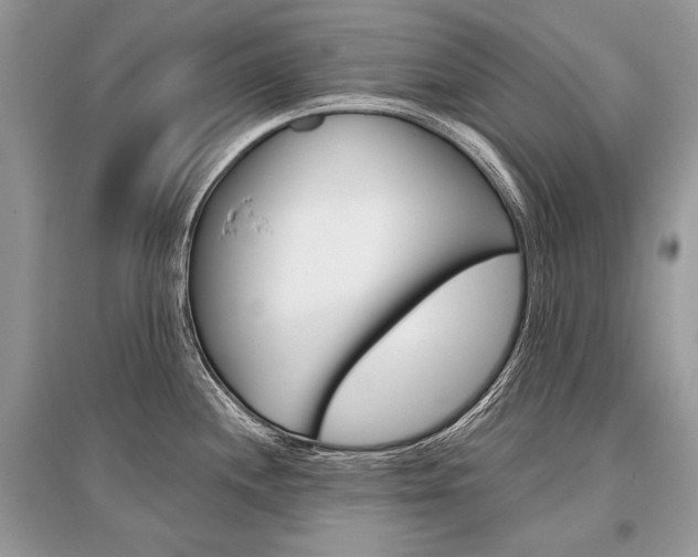 X0000096381244200801240955