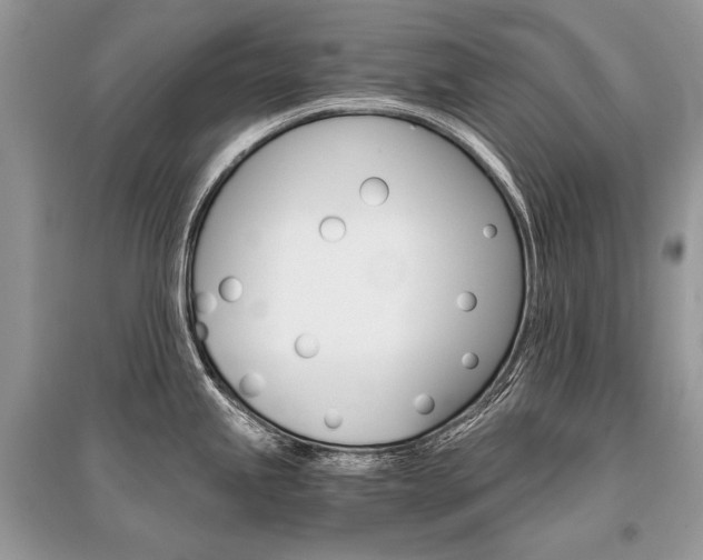 X0000096381245200801240955