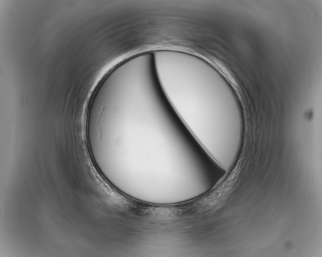 X0000096381246200801240955