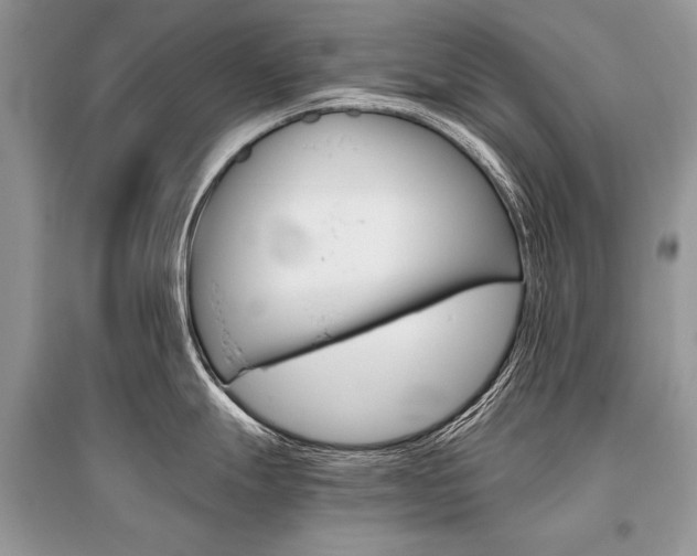 X0000096381247200801240955