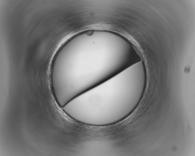 X0000096381248200801240955