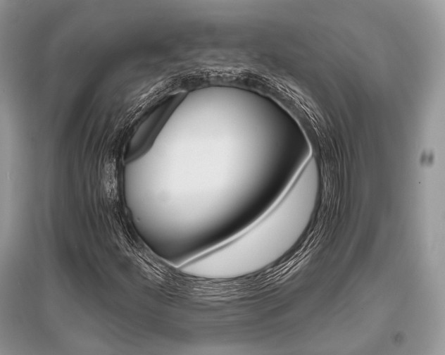 X0000096381252200801240955