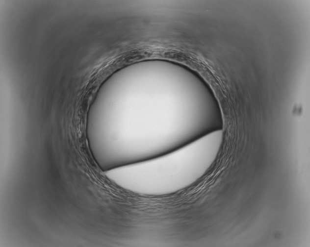 X0000096381253200801240955