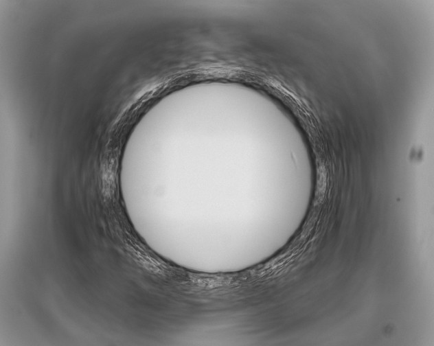 X0000096381254200801240955