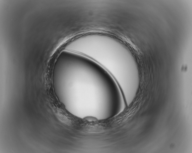 X0000096381256200801240955