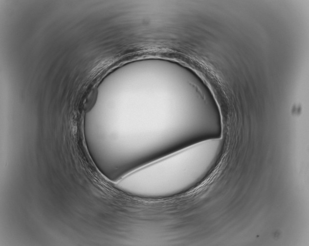 X0000096381257200801240955