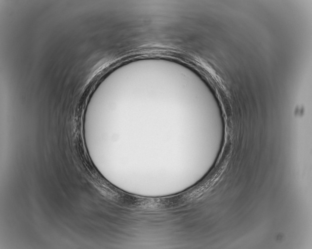 X0000096381259200801240955