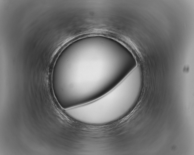 X0000096381260200801240955