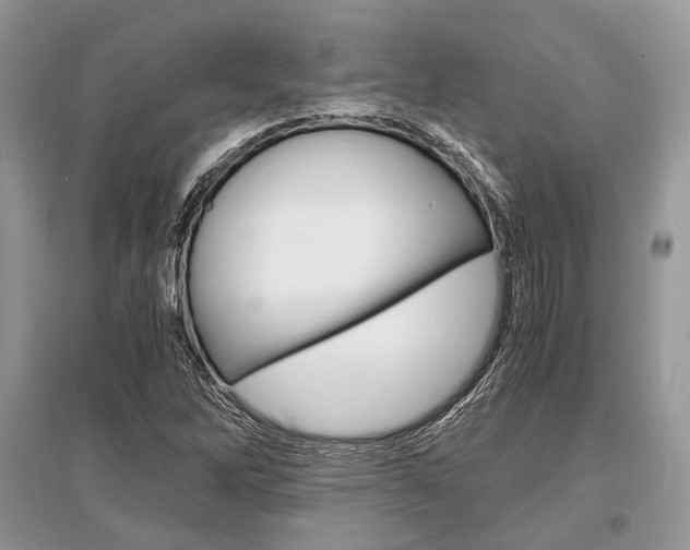 X0000096381262200801240955