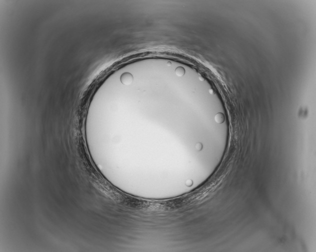 X0000096381263200801240955