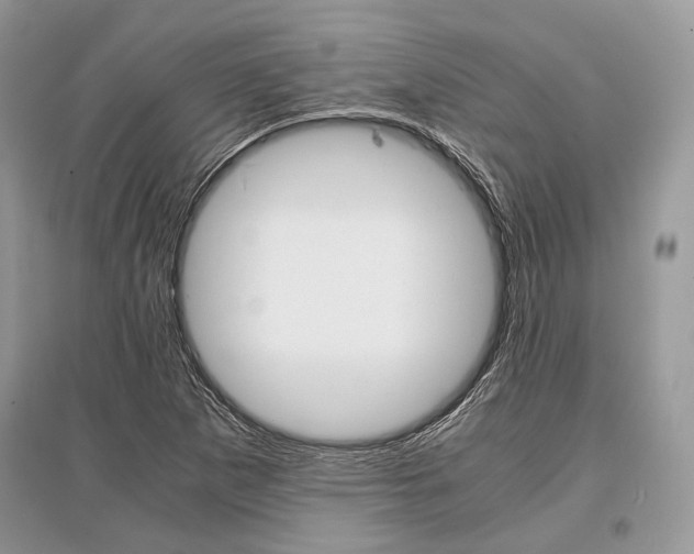 X0000096381265200801240955