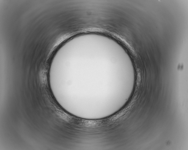 X0000096381266200801240955