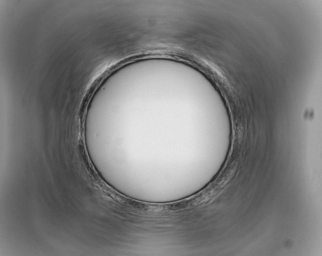 X0000096381267200801240955