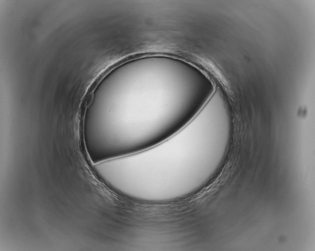 X0000096381268200801240954
